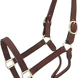 Royal King Leather Track Halter, Brown, Yearling-image-11