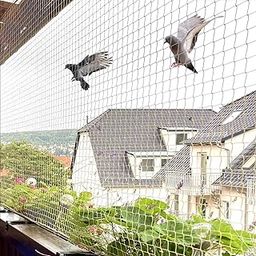 Bird Net | Nylon Bird Control Net | Child Protection | Anti Bird Net | Net for Pigeon & Monkey for Balcony 6X10 Feet-7