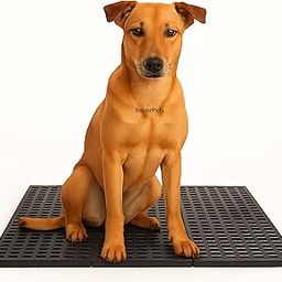 KsPups Dog Flooring Mats | 36 x 12 Inch Multipurpose Plastic Durable, Washable Mat for Pets | Anti-Skid, Lightweight, Easy-Clean Floor Mat | Ideal for Indoor & Outdoor Use (Black-Pack of 2)-image-65