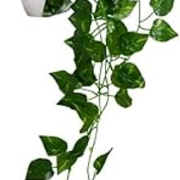 fancymart Artificial Vine Plants Falling with Small Size Pot - Natural Touch & Feel Home Décor - Perfect for Home and Office Decoration-picture-11