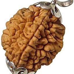 2 Mukhi Rudraksha Certified Nepali Bead | Two Face Rudraksha Pendant with Silver Cap & Red Thread-image-80