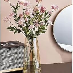 Trixy Flower Vase for Flower Plants (Gold, 22.8 cm X 6.3 cm X 7.6 cm) - Glass Vase Pot for Living Room Water Plants Home Decor Dining Table Decoration Bedroom Hall Aesthetic House Warming Gift-image-24
