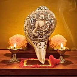 Shambhava Hand-Carved Lord Buddha Shankh | Sacred Conch Shell for Peace, Mindfulness & Spiritual Growth | Crafted by Guru Artisan from Kashi | Unique Buddhist Gift & Meditation Shankha- 5 inch-image-14