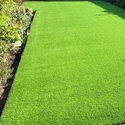 Mexican Lawn Grass Seeds – Durable, Low-Maintenance, & Fast-Growing Lawn Seeds for Home Gardens & Outdoor Spaces || 4000 Seeds ||-image-24
