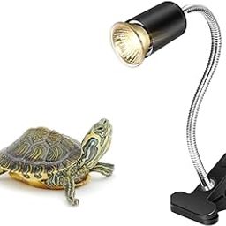 SPECTRUM Reptile UV Basking Lamp Holder With Heating Bulb for Turtle and Bird bulb (Holder + 50 Watt Bulb)-31