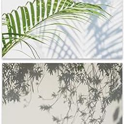 SAVIAURA 1 Sheet 2 in 1 Photography Backdrop 3D Flat Lay Tabletop Double-Sided Photo Background PVC Wrinkle-Free Small Products Photo Shoot (#26- Green Plant Shadow on Wall Pattern)-20