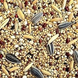 Mix Seeds Millets Food for Birds - All Life Stages-27