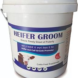 AUROUS Heifer Groom Cattle Feed Supplement | Supplement for Heifer and Calf Growth/Farm Animals (10 kg)-image-66
