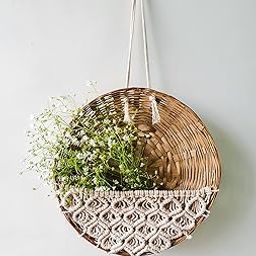 Zippy Flora Tulip Macrame Cotton Basket for Decor, 11 inch Diameter (Off-White)-image-51