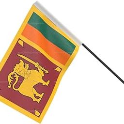 The Flag Company Srilanka Wall Mounted Flag | 12x18 Inch Fabric National Flag with Metal Wall Bracket | Ideal for Office, Home & Indoor Décor-image-55