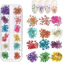 12 Colors Dried Flowers for Nail Art, Dry Flowers Mini Real Natural Flowers Nail Art Supplies 3D Applique Nail Decoration Sticker Decor-image-67