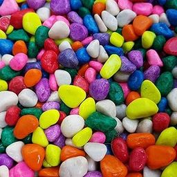Garden Nest Multicolor Decorative Pebbles/Stones for Plants, Pots, Vase Fillers, Aquarium, Fish Tank, Garden Decor – Smooth, Polished Gravel (Natural Look) (MultiColor, 3-KG)-image-1