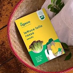 UGAOO Lettuce Seeds - Lollo Rosso Vegetable Seeds (Green, Pack of 1g)-image-90