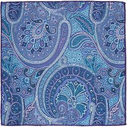 Paisley Blue with Purple Microfiber Pocket Square For Men-picture-28
