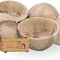 Coco Land White Coconut Shell Finished Oval Pot (Small Size Pack of 5) 100 ml | Decorative Pots,Candle Making,Candle Holder,Craft Making | Handicraft,Agricraft-image-69