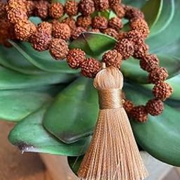 BRAINCORD Rare Rudraksha Mala Original Certified Nepali Rudrakshasरुद्राक्ष माला ओरिजिनल सर्टिफिकेट के साथ 108 Rudraksha Brown Beads Dhyaan Mala for Astrological Purpose-picture-37