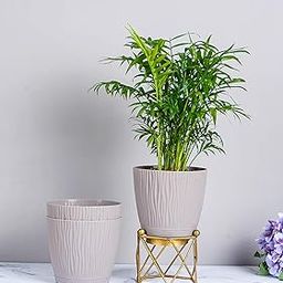 Nurturing Green® Set of 3 Mocha Self Watering Indoor Pots with Tray (5.5 Inch Wide*5 Inch High) | Low Maintenance Flowers Pot for Home & Balcony Decor (Plant or Metal Stand Not Included)-image-24
