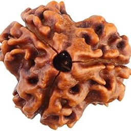 Saubhagya Global 3/ Three Mukhi Rudraksha Lab Certified Siddha in Handmade Tassel, Nepal Beads, Size 18-24mm, Color-Brown-27