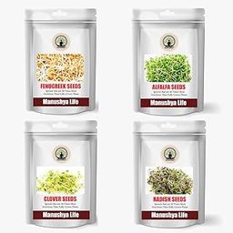 Manushya Life Seeds for Sprouting| Satvic Lifestyle | Combo pack of Alfalfa, Fenugreek, Clover, Radish Seeds | 100gms x 4-picture-26