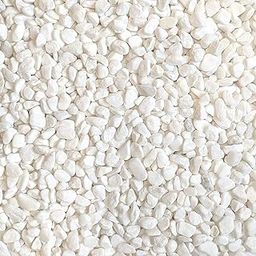 Garden Art 5/kg New Mix Polished Pebbles for Home Decor | Best for Home, Garden, Pot Plants, Fish Tank and Landscaping (White Chips, 2 KG)-image-44