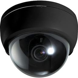 Cloud Universal Dummy CCTV Fake Dome Security Camera Motion Detection System, 12 X 8 Cm, Black,-25