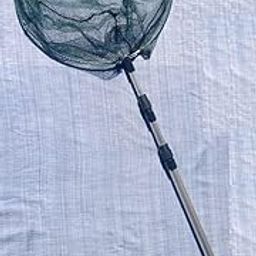 Bird Catching Net Imported from Belgium - Good for catching Birds in Big Aviary or Big cage-image-71