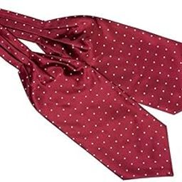 Revolve Burgundy Polka Cravat For Men-image-42