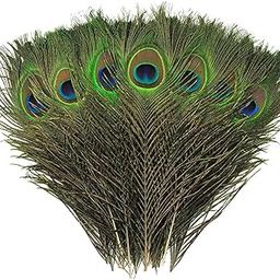 Mor Pankh Real Peacock Feather Original Tails Décor Big and Small Size for Home use Lizards Pujan, Multicolor, Pack of 12-image-40