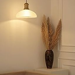 Divine Trends Ribbed Frosted Glass Pendant Light with Antique Brass Finish | Hanging Lights for Living Room, Bedroom, Kitchen, Dining | Ceiling Lamp for Home Decoration Pack of 1-picture-4
