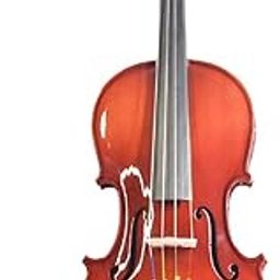NGM Musicals Handcrafted Solid Wood Acoustic Electric Knob Pickup Violin with Carrying Case, Rosin, Bow-picture-25