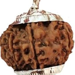 BluDiamond 11 Faced Rudraksha Pendent Brown 11 Mukhi Nepal Rudraksha Beads 11 मुखी रुद्राक्ष लैब सर्टिफिकेट Natural Gyarah Mukhi Rudraksha Real Eleven Mukhi Rudraksha for Japa Puja ग्यारह मुखी रुद्राक्ष Prayer Beeds Blessing Lord Hanuman-picture-17