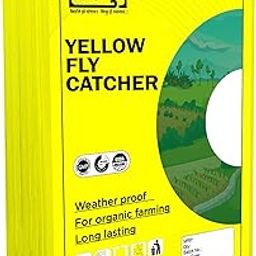 Chipku A4 Yellow Sticky Trap for Insects Pack of 25 Sheets| for Garden & Agriculture to Control Whiteflies, Aphids, Thrips, Jassids| Fly Catcher Insect Catcher Glue Trap for 100% Results-image-10