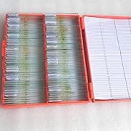 Histopathology of Disease Slide Set| Set of 24 Slide|-24