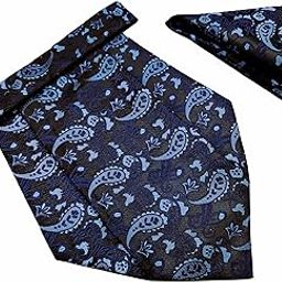 France Mens Paisley Cravat ascot NeckTie Pocket Square Microfiber Fabric Free Size-image-77