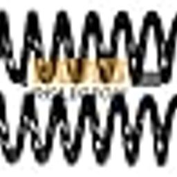 RoadReligion Front Shock Absorber Spring compatible with R15 V1-picture-25