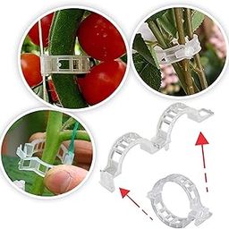 Trust Point® Plant Support Clips for Garden, Tomato and Vegetables Garden (50 Pcs)-image-77