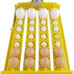 SHIPLORD® Automatic Egg Turner Tray for Poultry Hatching: 32-Egg Incubator Rack Brooder Incubator Accessory for Easy Hatching-image-66