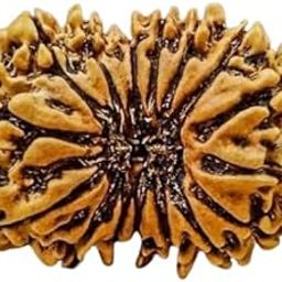 BluDiamond Solah Mukhi Rudraksha Nepali Bead 16 Face Rudraksha Lab Certified सोलह मुखी रुद्राक्ष 16 Mukhi Rudraksha Original Precious Sixteen Mukhi Rudraksha Blessed Shiva For Pendant-picture-32