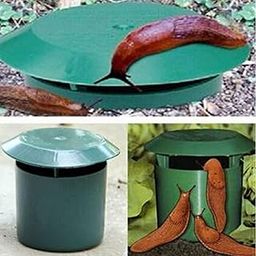 CLUB BOLLYWOOD® Snail Cage Slug House Catcher Trap Trapper Pest Control Plant Protection|Home & Garden | Yard, Garden & Outdoor Living | Gardening Supplies |2 Pieces Snail Traps-picture-23