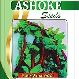 ASHOKE Seeds Lal Poi Saag Seeds Malabar Spinach Seeds Spinach Seeds for Home Kitchen Gardens Farms | All Season Vegetable | High Yielding (100 seeds per packet)-image-49