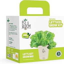 Pot and Bloom Lettuce Gardening Kit | Complete Home Gardening Set with Lettuce Seeds, Pot, Potting Mix (Soil & Fertilizer), and Plant Growth(nutrition) and Protection Spray | Ideal Return Gift-image-83