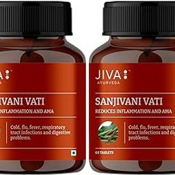 Jiva Sanjivani Vati For Fever | Ayurvedic Supplements for Cough & Digestive Health - 60 Tablets (Pack of 2)-image-56