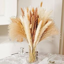 Natural Dried Pampas Grass Fluffy Stems Plants for Decoration | Decorative Pampas Grass Set of 6Pcs-image-61