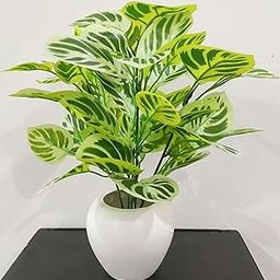 BAARIG Natural Looking Artificial Money Plant/Tree with Pot | Ornamental Plant for Interior Decor | Home/Shop/Office Décor (Yellow-Green)-image-15