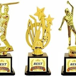 Kesora® Customized Fiber Trophy, Award | Excellence Award for Winners | Cricket Trophy, Best Batsman, Best Bowler, Best Player, Man of The Match Trophy | Trophy for All Sports | (9)-image-32