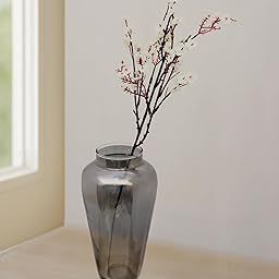 HOMESAKE Pitcher Flower Vase for Flower Plants Glass Vase Pot for Living Room Home Decor Dining Table Decoration Water Plants Bedroom Hall Aesthetic House Warming Gift, Classic Urn, (Smoky)-image-71