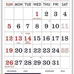 V807 English monthly wall calendar 2025, 14x20inch 12 sheets of monthly wall calendar front side only printing Red and Navy Blue-11
