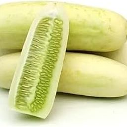 Fresh Cucumber, White, 500g-image-8