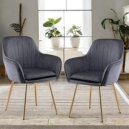 Chair King Velvet Chair for Home | Modern Accent Armchair in Soft Velvet Fabric with Golden Legs | Set of 2 Premium Accent Chair for Living Room Bedroom Restaurent | (Dark Grey)-image-22