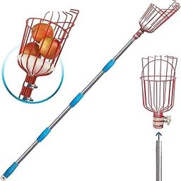 Kyari Fruit Plucker | Strong Metal Claw for Easy Fruit Picking from Trees | Lightweight, Durable & Rust-Resistant | Ideal for Mangoes, Guavas, Sapotas & More-15